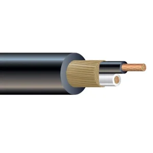 SOOW Portable Cord, 12/2, Black, 250' Markdown