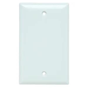 Fan Favorite Blank Wallplate, 1-Gang, Thermoset, White, Box Mount