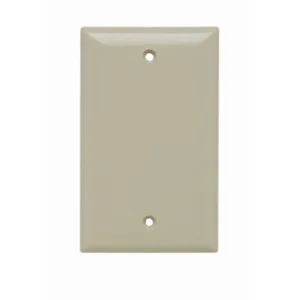 Modern PLATE PLASTIC 1G BLNK W/OUT LINE IV